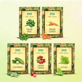 Gourmet Salad Seeds Combo (Pack of 5) - Lettuce, Cherry Tomato, Cucumber, Carrot Orange & Basil